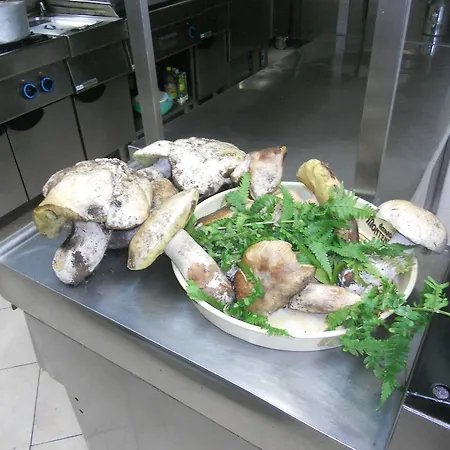 Ristorante Pizzeria La Bocca Di Bacco Abbadia San Salvator
